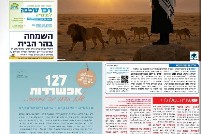 גיליון 1002- שלח