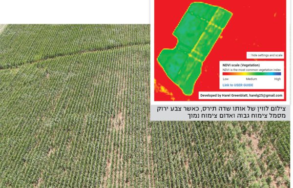 חקלאות מעל הטבע