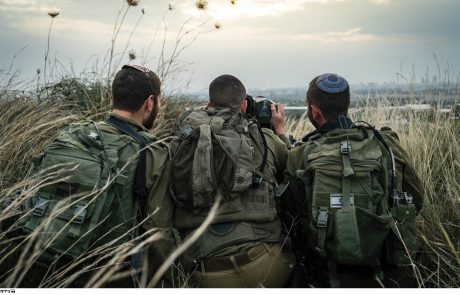 עיני נץ