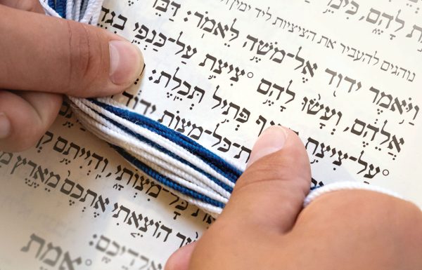 תכלת וארגמון: מה עמדת המחקר המודרני?