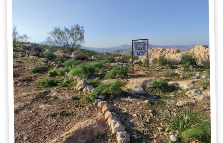 כמעט לא דרכה שם רגל אדם