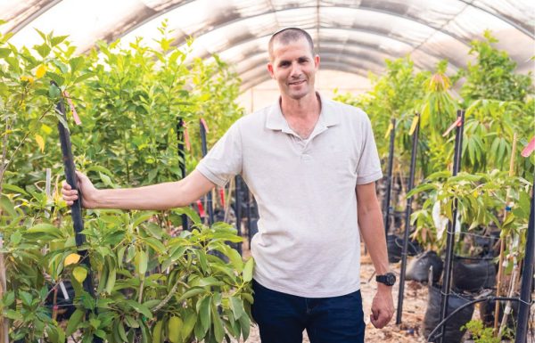 צל של תקווה