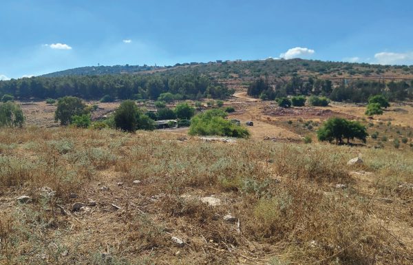 אסור לאבד את הצפון